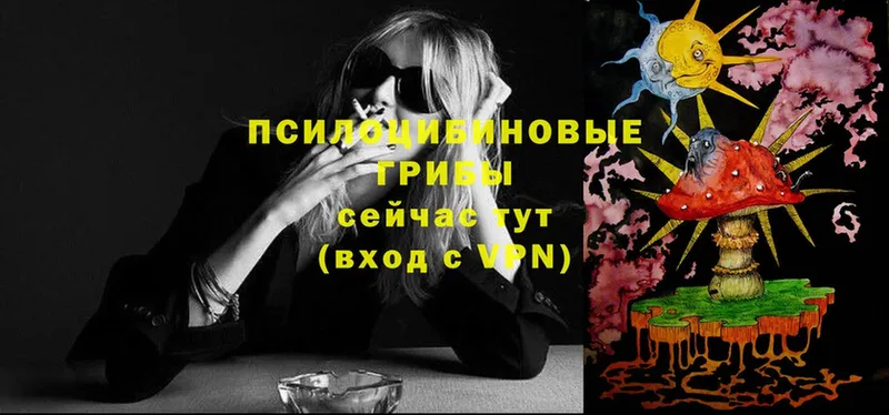 ссылка на мегу вход  Ливны  Псилоцибиновые грибы Psilocybe 